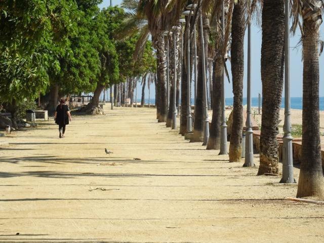 Duplex En Frente De La Playa Al Lado De Barcelona Lägenhet Canet De Mar Exteriör bild